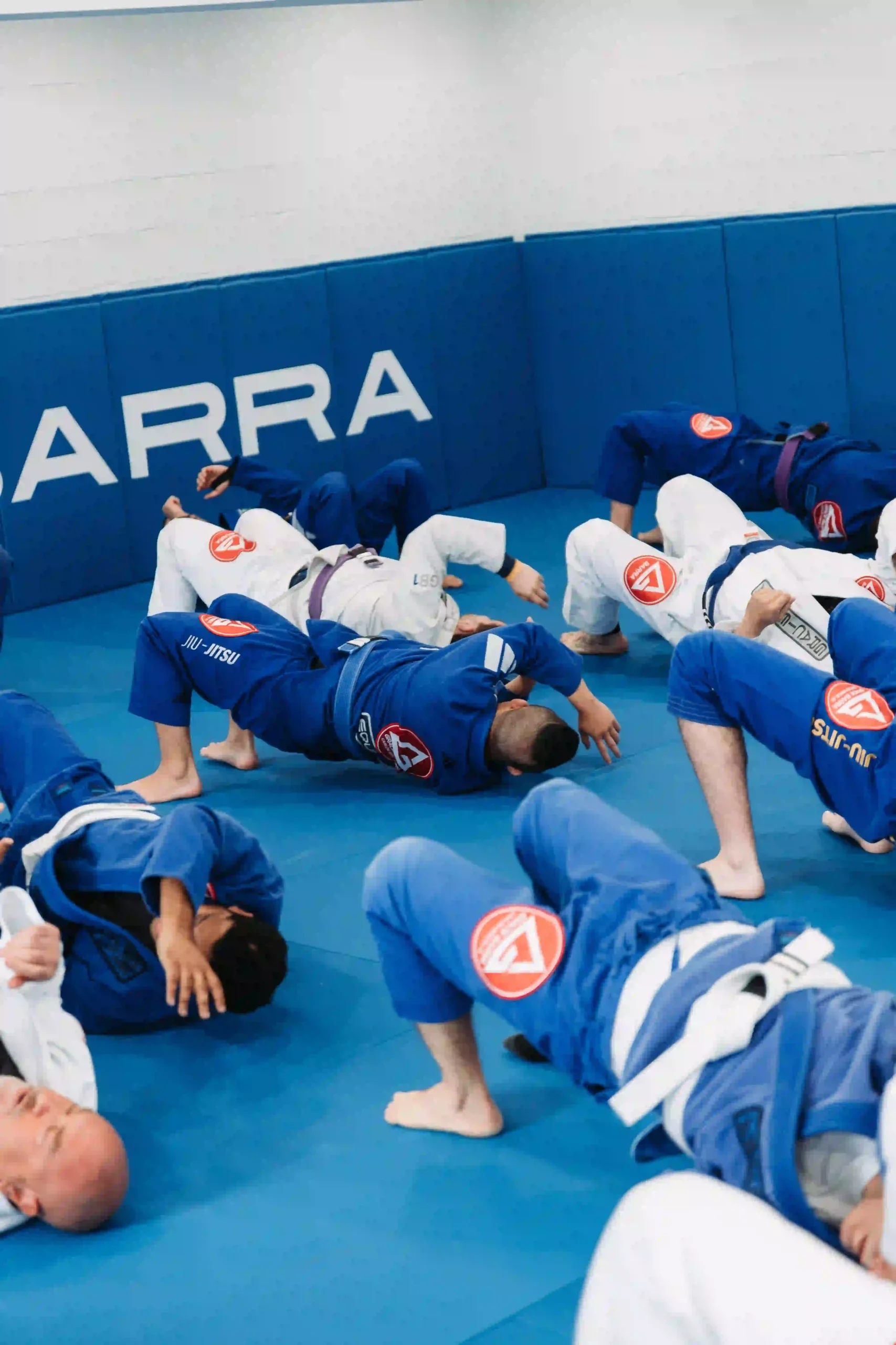 Jiu-Jitsu Strength and Endurance: Transform Your Fitness